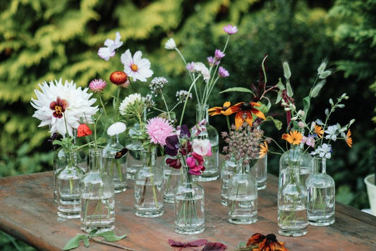 Blog: So bleiben deine Schnittblumen lange schön - Titelbild