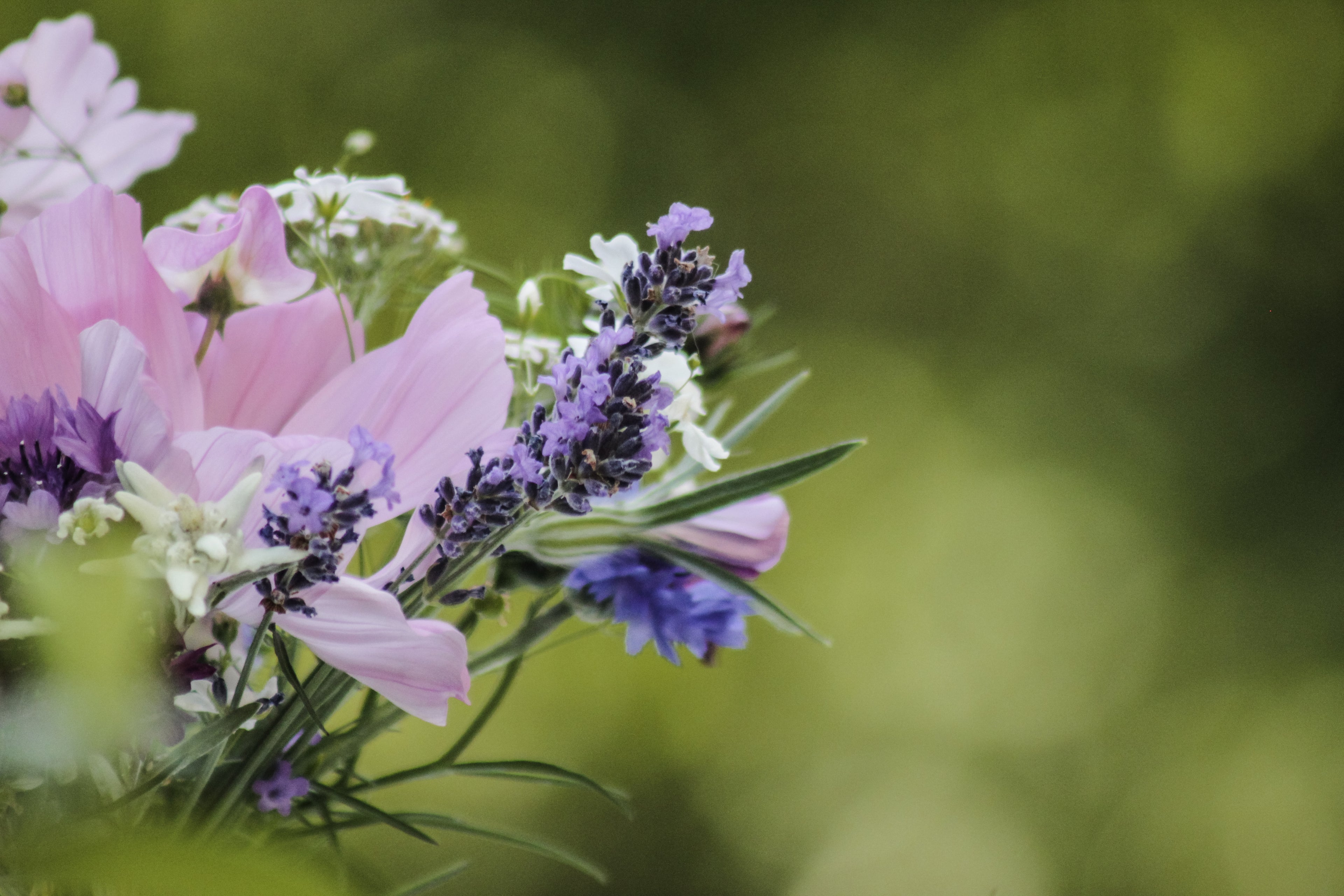 Unsere Blumen Header