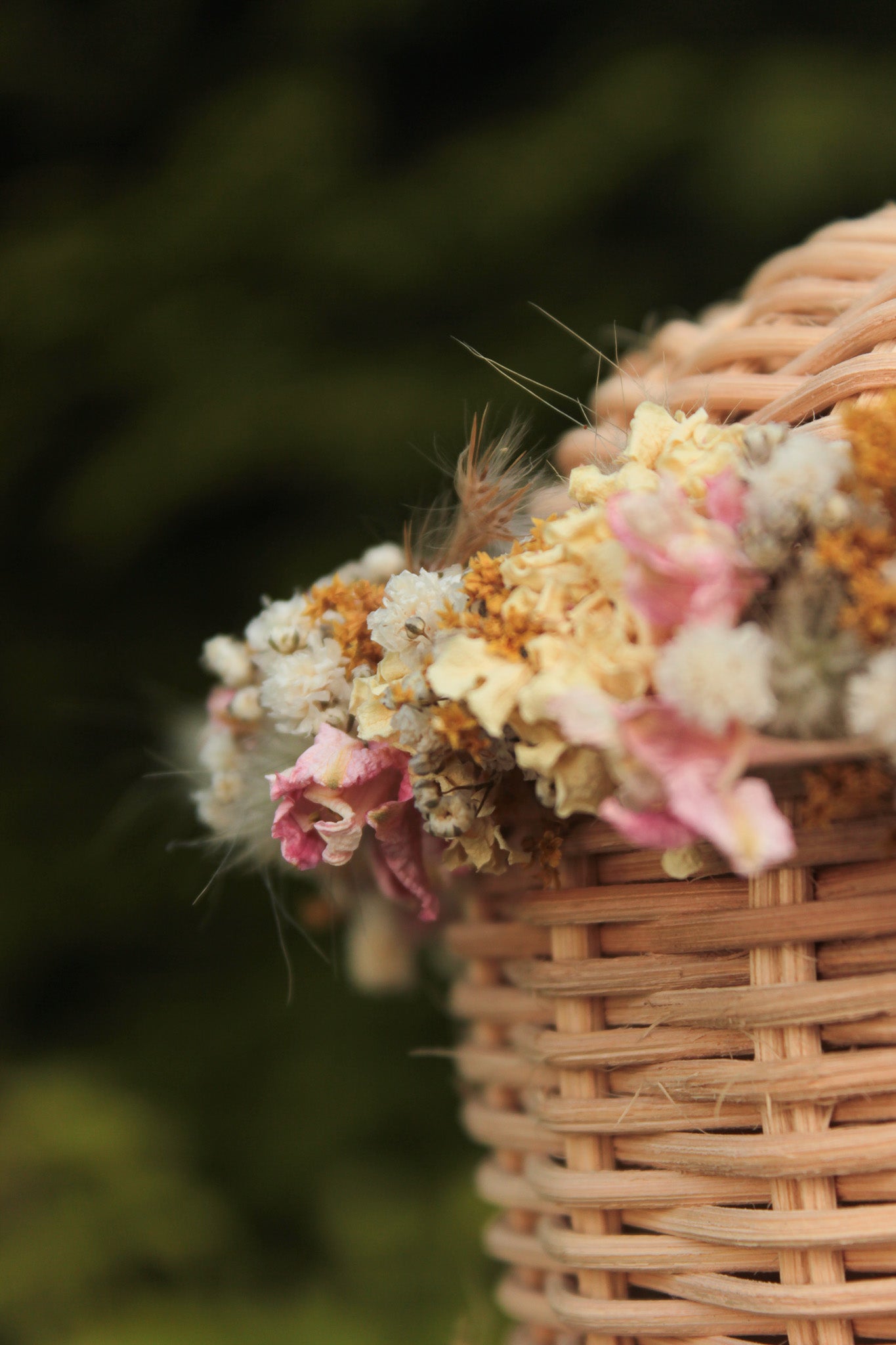 Haarkranz mit Trockenblumen "Betty"