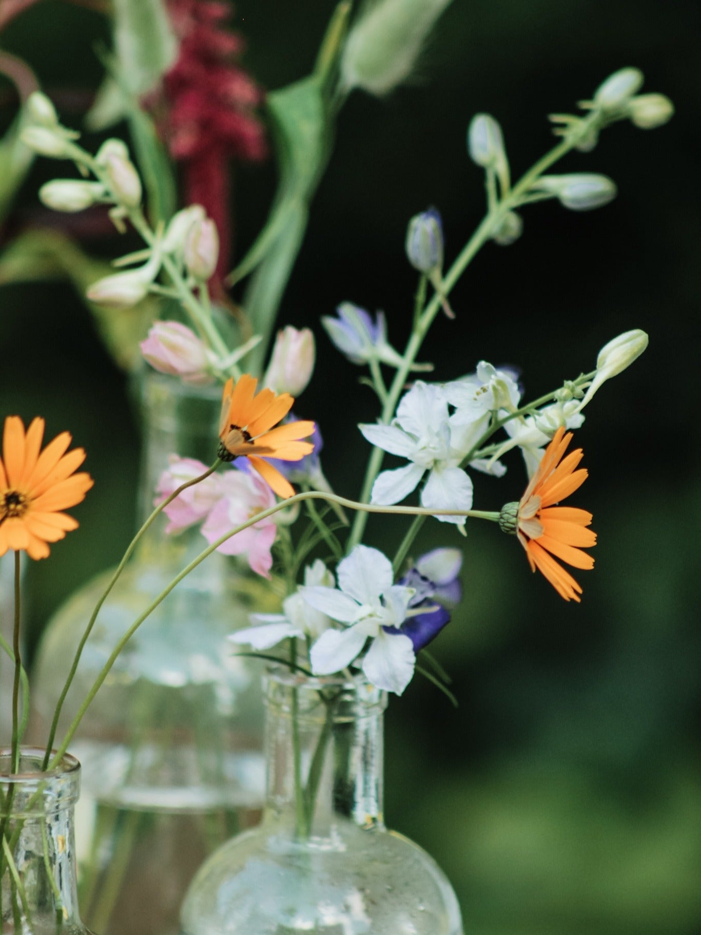 Verschiedene Blumen