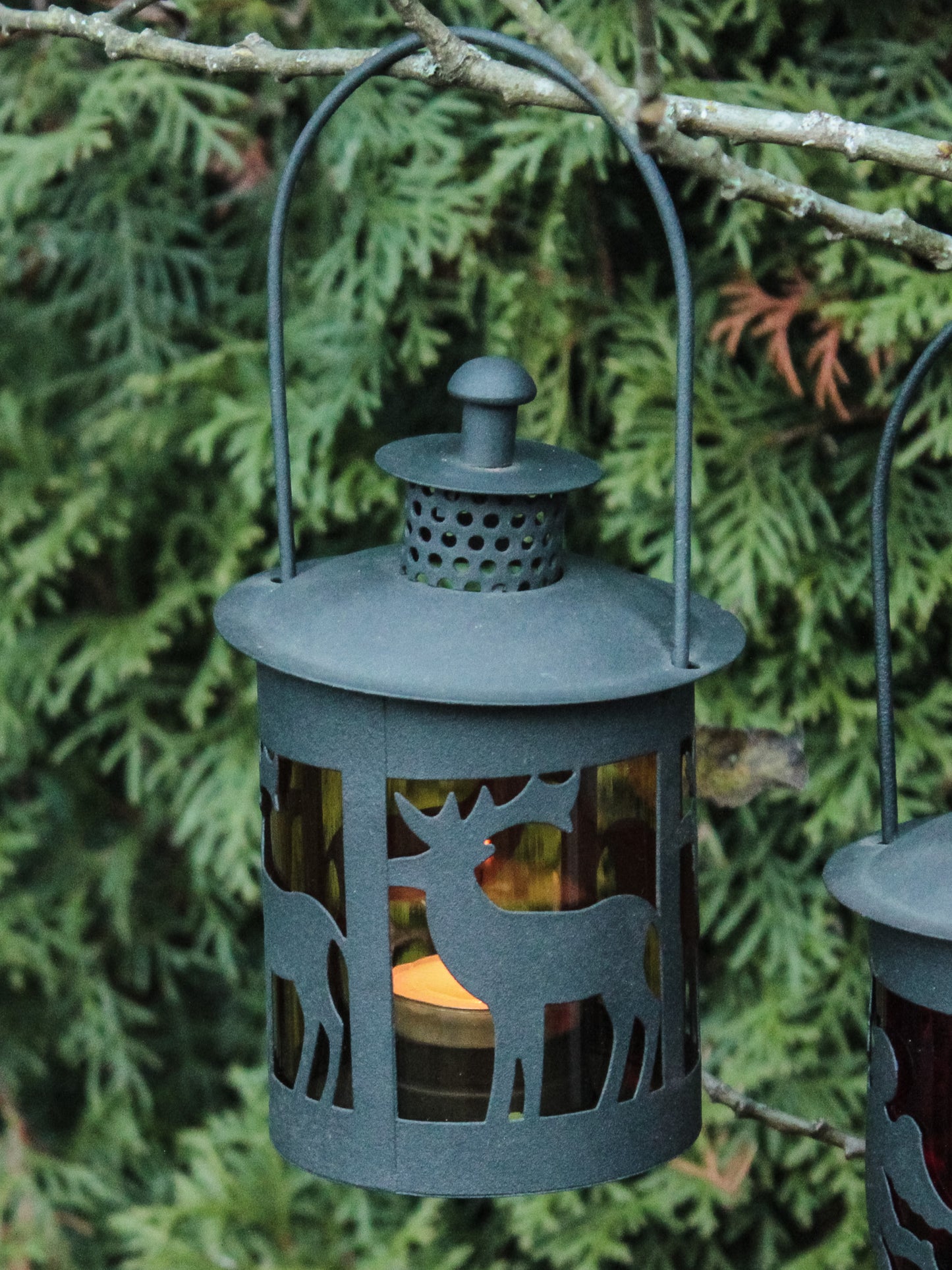 Wunderschöne Winterleuchter
