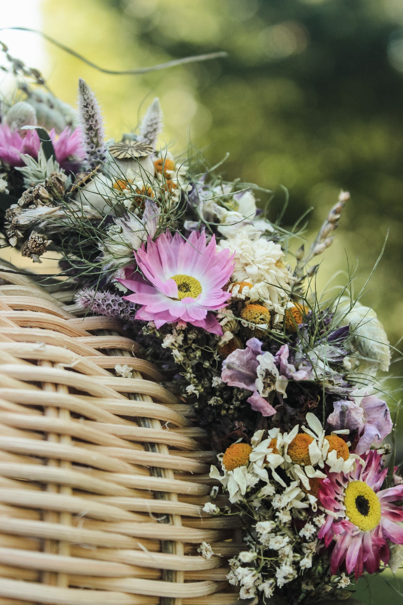 Haarreif mit Trockenblumen "Katie"