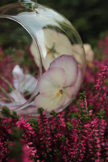 Glaskugel mit gepressten Blüten - Rosa