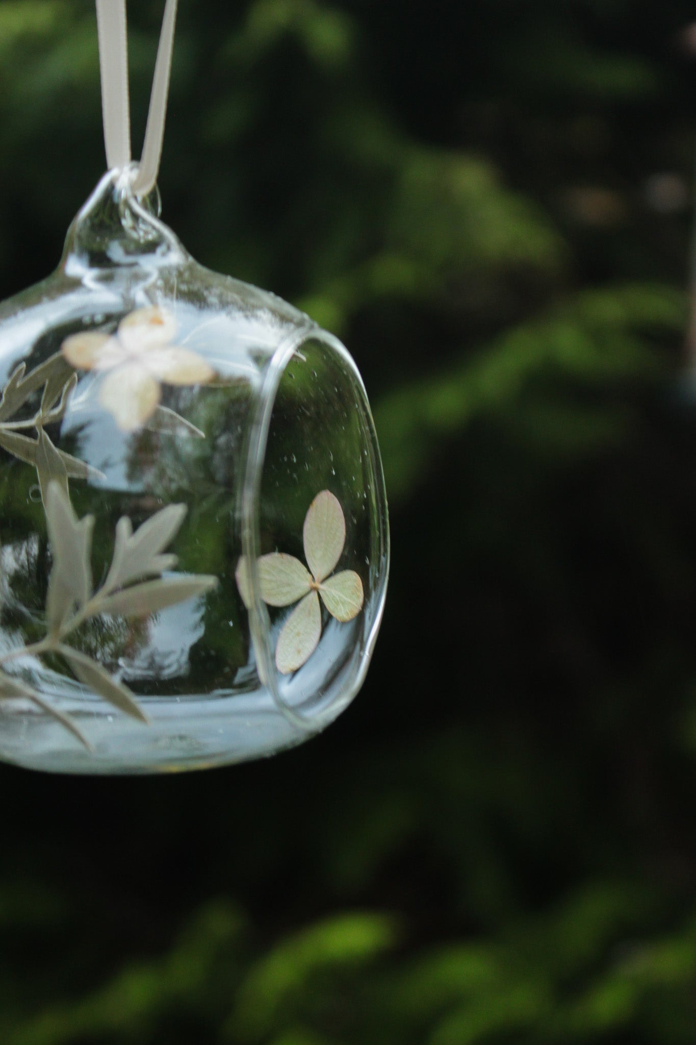 Glaskugel mit gepressten Blüten - Creme