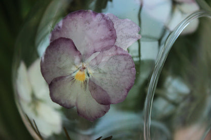 Glaskugel mit gepressten Blüten - Rosa